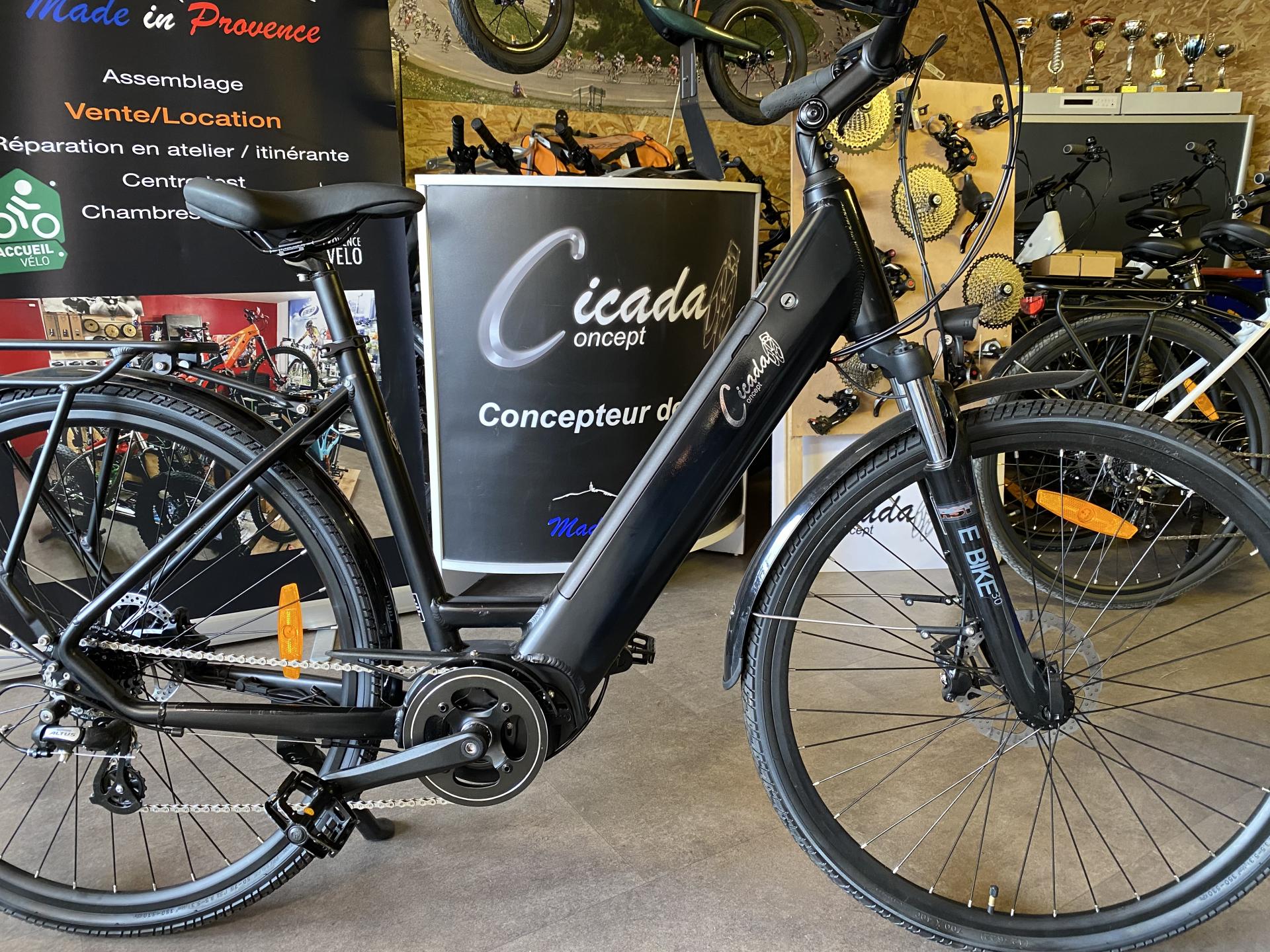 Ebike black